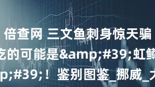 倍查网 三文鱼刺身惊天骗局：你吃的可能是'虹鳟'！鉴别图鉴_挪威_大西洋_水产市场