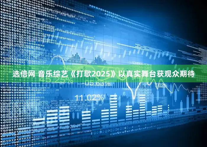 选倍网 音乐综艺《打歌2025》以真实舞台获观众期待